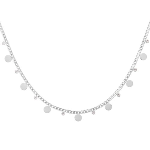 muntketting zilver Muntketting zilver